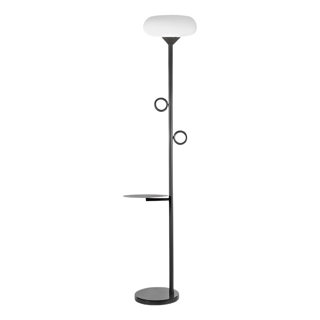 Remote Control LED Outdoor Rod Floor Accent Lamp - Lamp Outdoor
