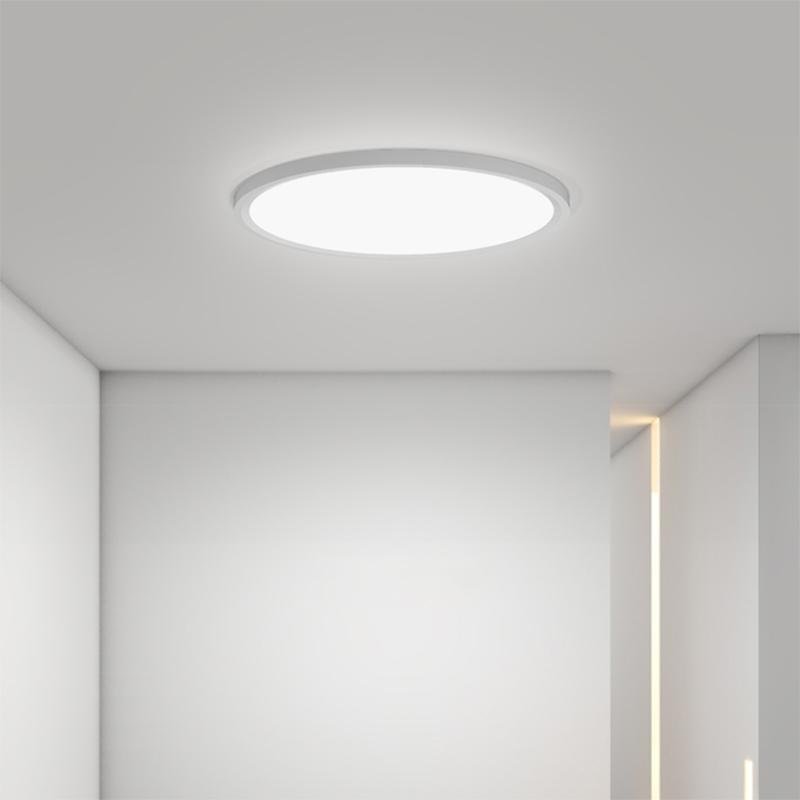 Minimalist Black Circle Industrial Flush Mount Ceiling Lights - Lamp Outdoor