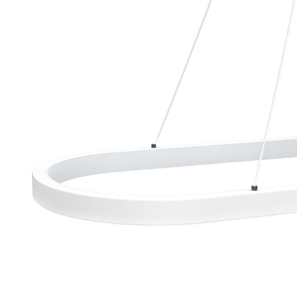 Modern Oval Hanging Chandelier with Remote Control - Lamp Outdoor