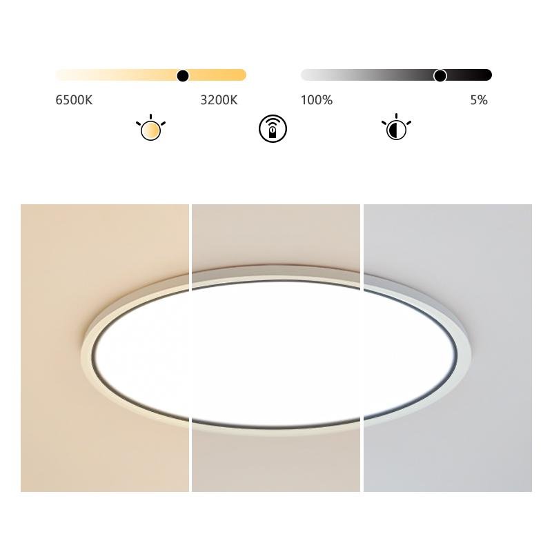 Soft White Round Dimmable Flush Mount Light - Lamp Outdoor