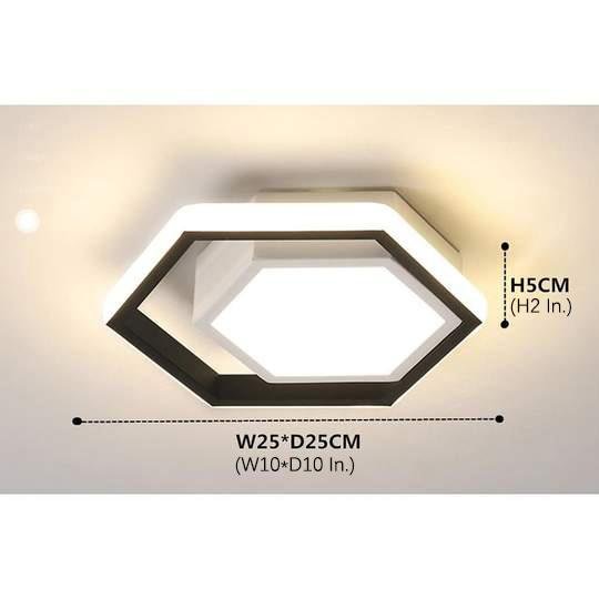 Lois Shaped LED Modern Metal Flush Mount Ceiling Lights - Lamp Outdoor