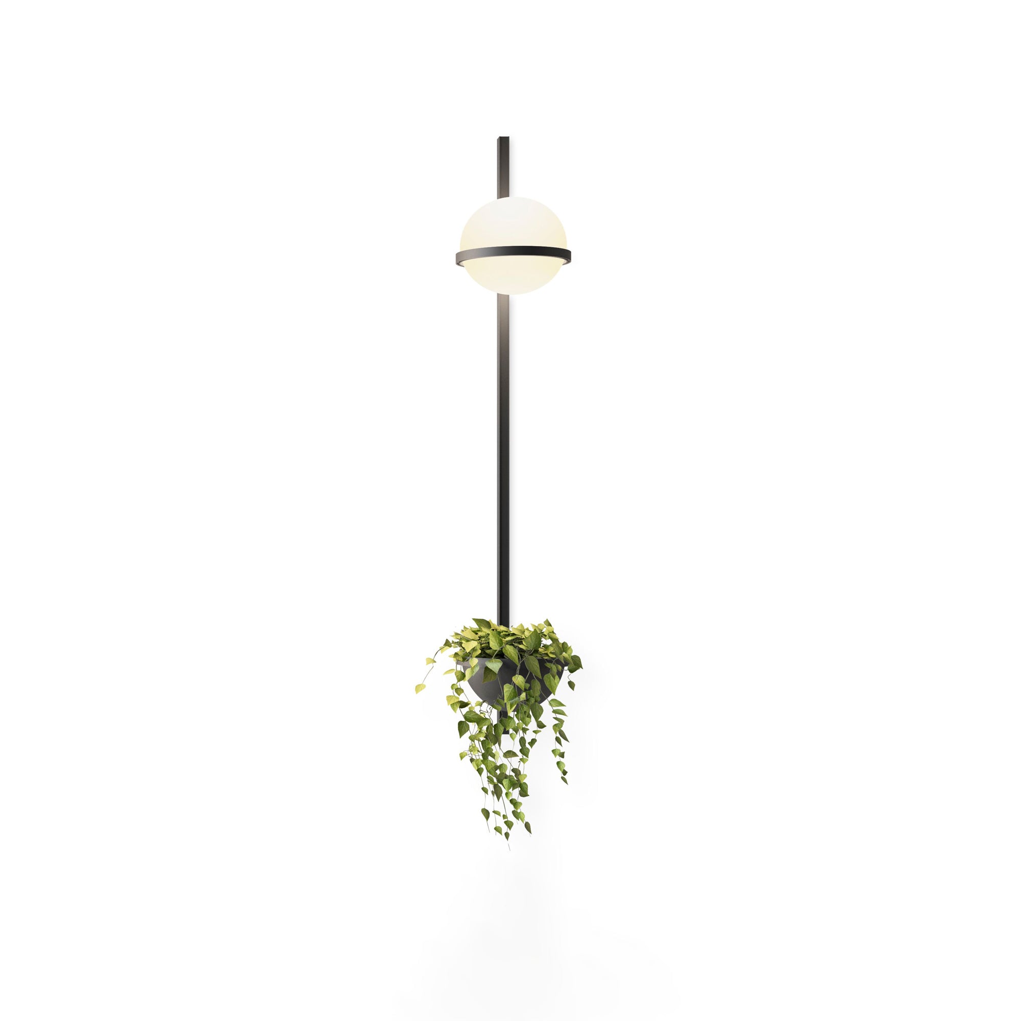 Ray Indoor Outdoor Wall Light - Lamp Outdoor