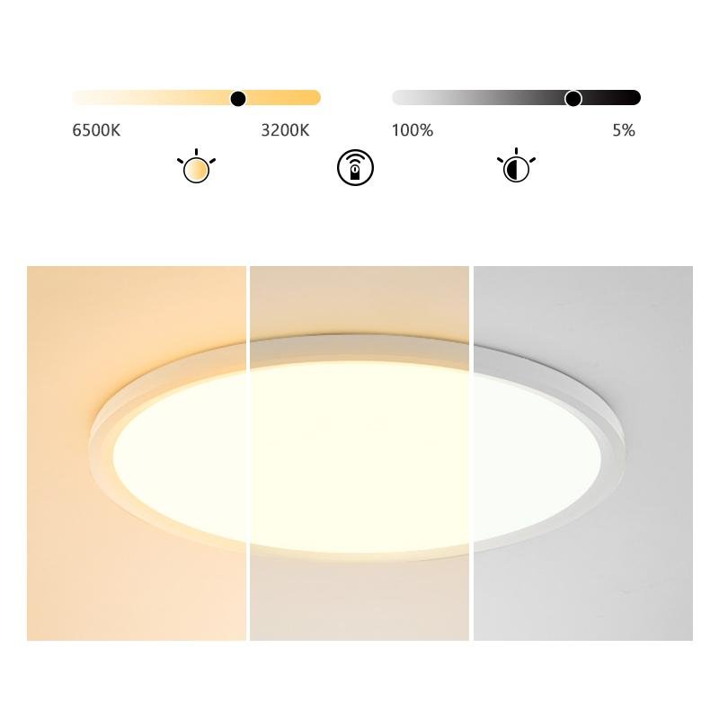 Minimalist Black Circle Industrial Flush Mount Ceiling Lights - Lamp Outdoor