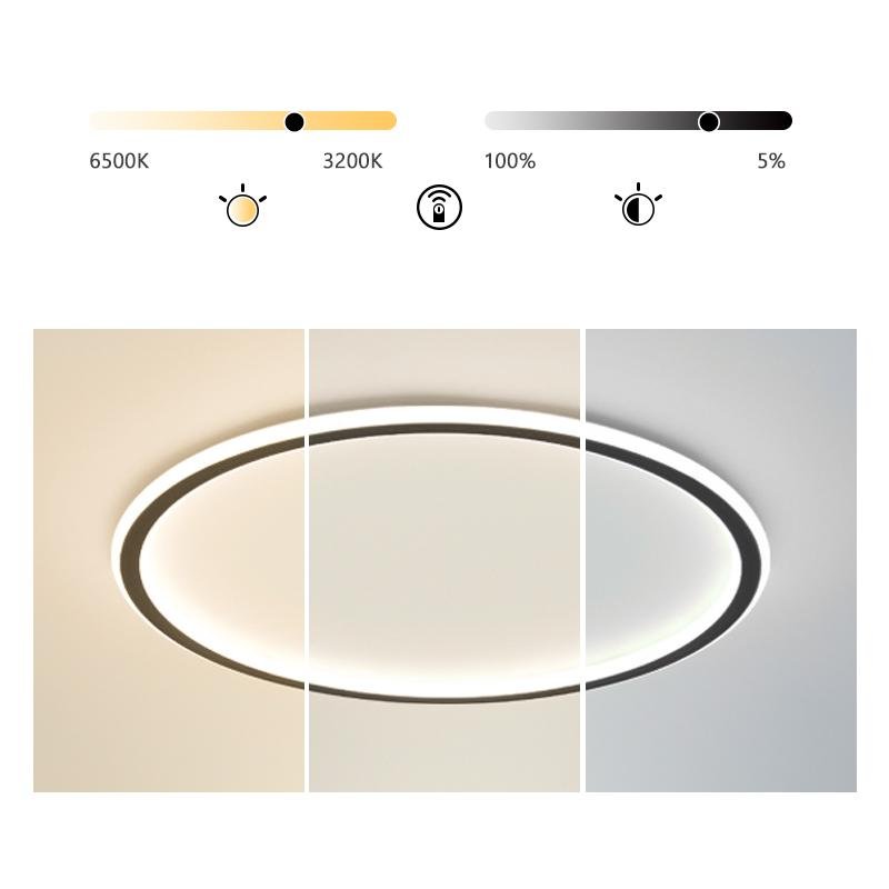 Bertina Round Framed Industrial Metal Flush Mount Ceiling Lights - Lamp Outdoor