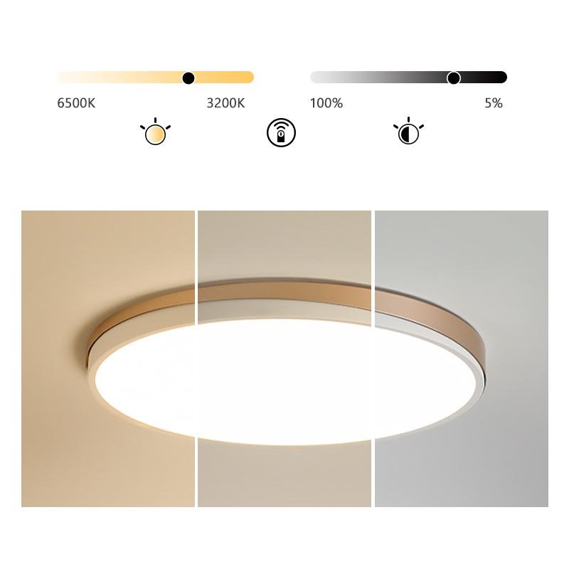Maude Circle Modern Metal Flush Mount Ceiling Lights - Lamp Outdoor